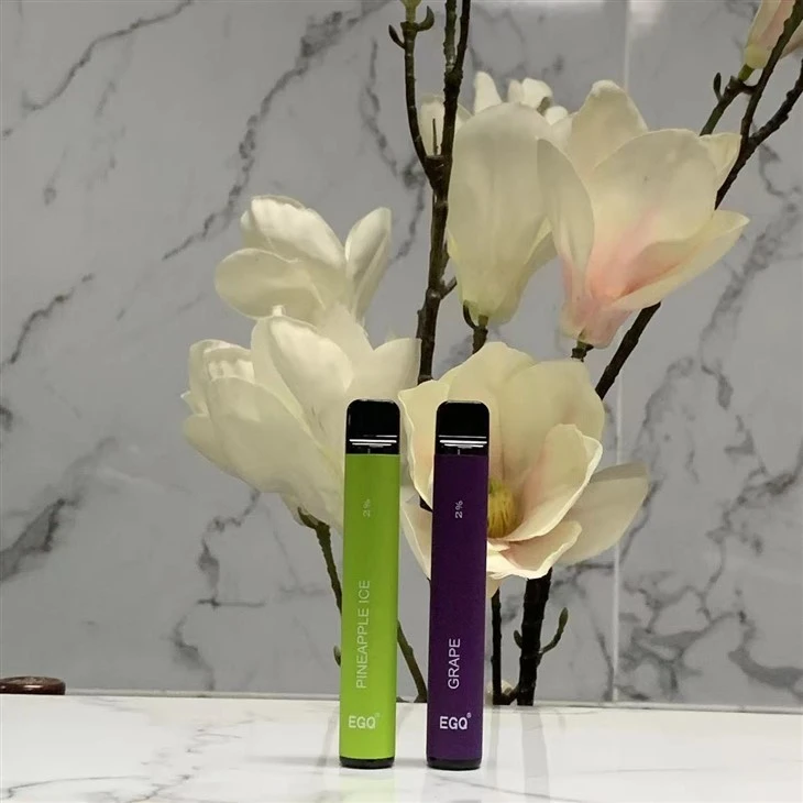 2 Ml Disposable Vape With 600 Puffs