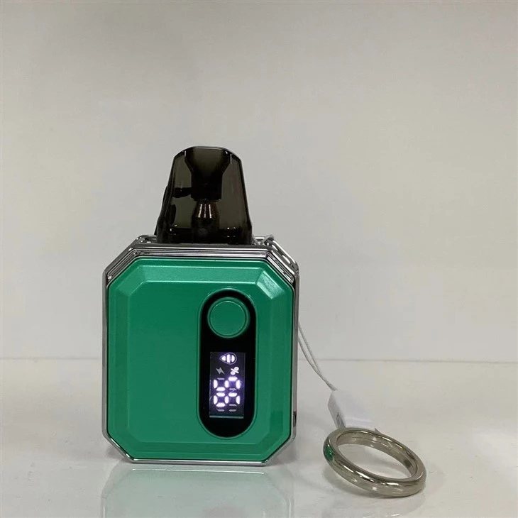600 Puffs Vape Pod With 10 Flavors Wholesale Price
