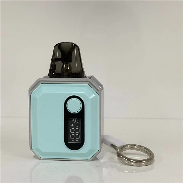 600 Puffs Vape Pod With 10 Flavors Wholesale Price